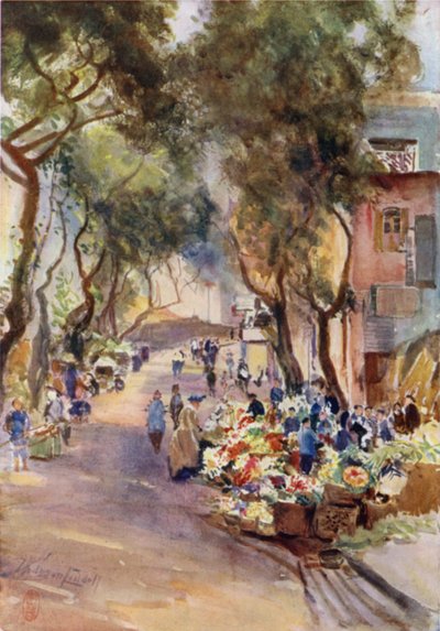Hong Kong, the Flower Market by Thomas Hodgson Liddell